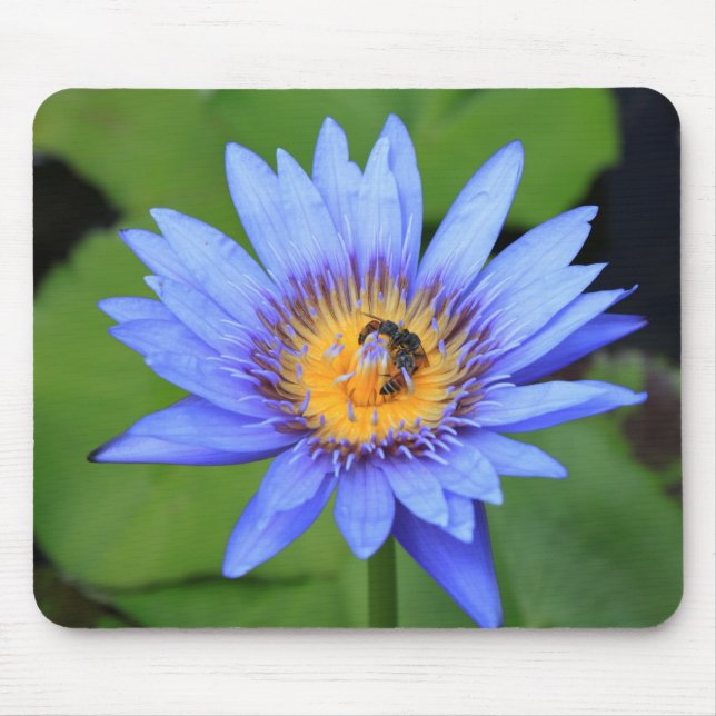 Lotus Blume Mousepad (Vorne)