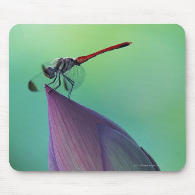 Lotus-Blume Mousepad (Vorne)