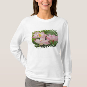 Lotus Blume, Nelumbo nucifera, China 2 T-Shirt