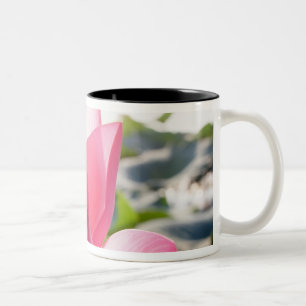 Lotus-Blume [Nelumbo-Speziosum] Zweifarbige Tasse