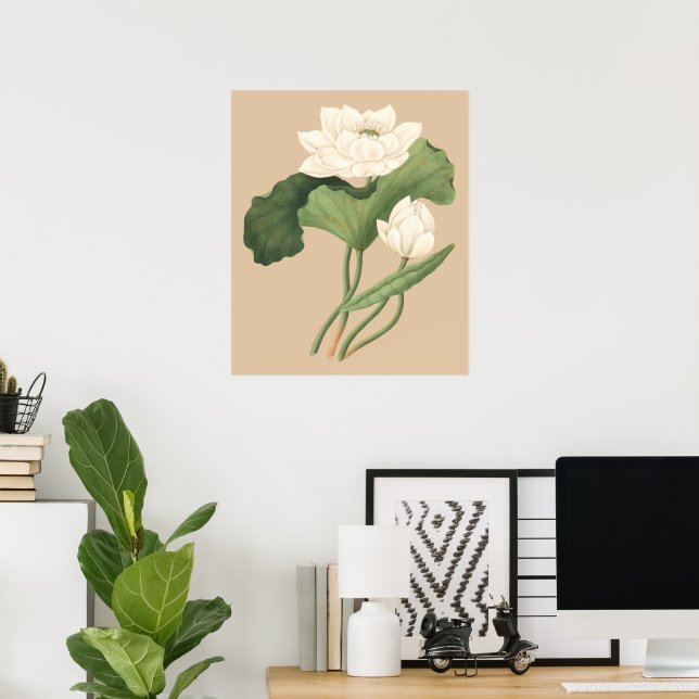 Lotus Blume Ostindien Botanische Kunst Poster (Heimbüro)