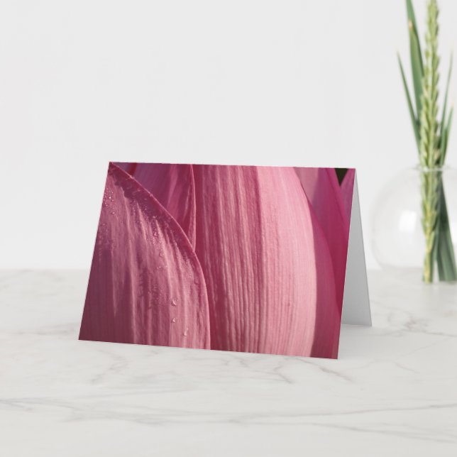 Lotus Blume Petals Pink Floral Karte (Vorderseite)