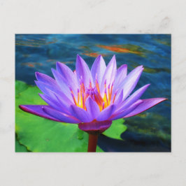Lotus Blume Postkarte