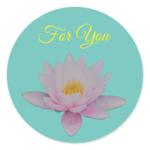 Lotus Blume