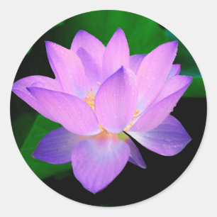 Lotus Blume Runder Aufkleber