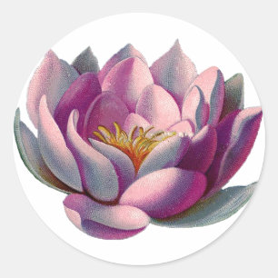 Lotus Blume Runder Aufkleber