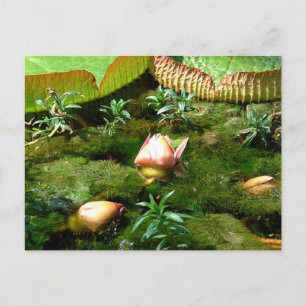 Lotus Blume - Tropischer Garten, Frühlingsnatur Postkarte