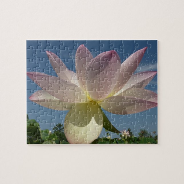 Lotus Blume und Blue Sky II (Horizontal)