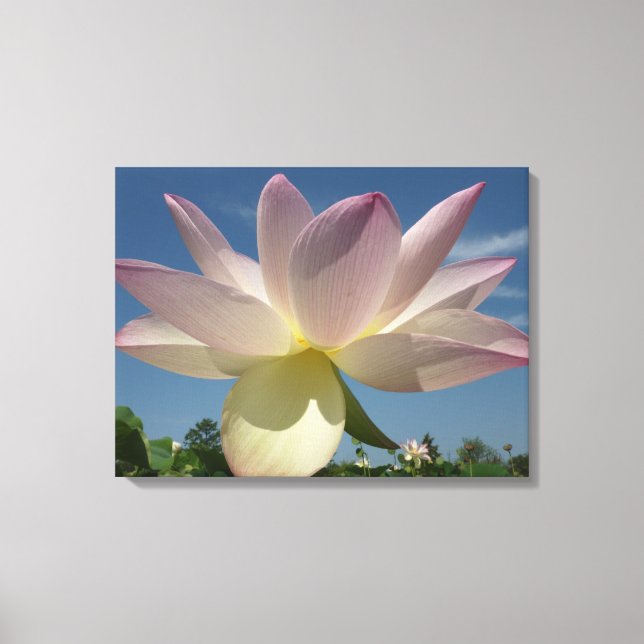 Lotus Blume und Blue Sky II Leinwanddruck (Vorderseite)