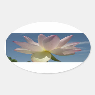 Lotus Blume und Blue Sky II Ovaler Aufkleber
