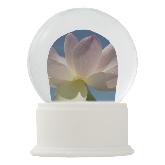 Lotus Blume und Blue Sky II Schneekugel (Vorderseite)