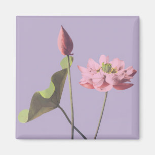 Lotus Blume von Ogawa Kazumasa Magnet