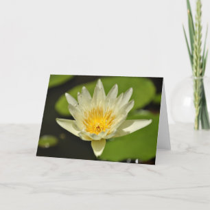Lotus Blume - Wasserlilie Grußkarten Karte