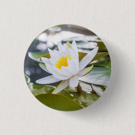 Lotus Blume Weiße Farbe im Teich Button