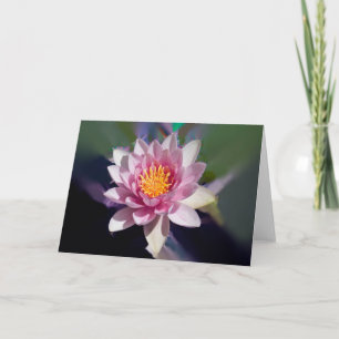 Lotus-Blüte #2254 Karte