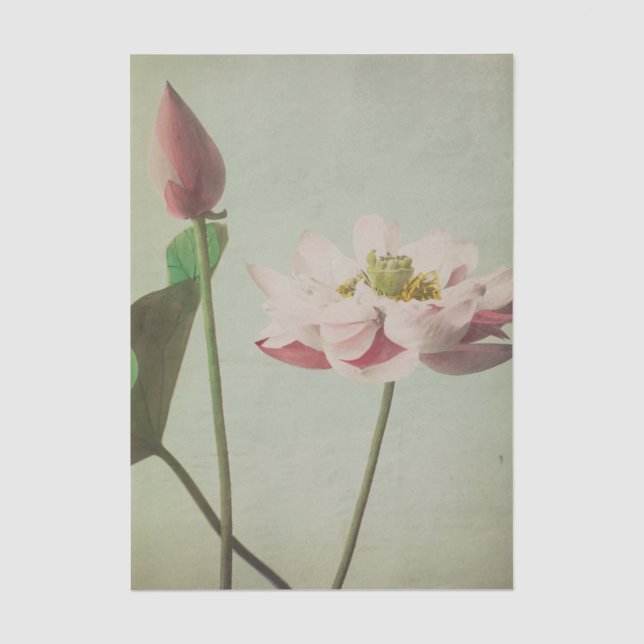 Lotus by Ogawa Kazumasa Seidenpapier (Vorderseite)