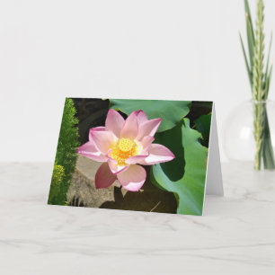 Lotus Card Dankeskarte