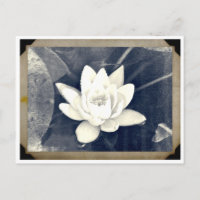 LOTUS CARTE POSTALE PHOTOGRAPHIQUE VINTAGE