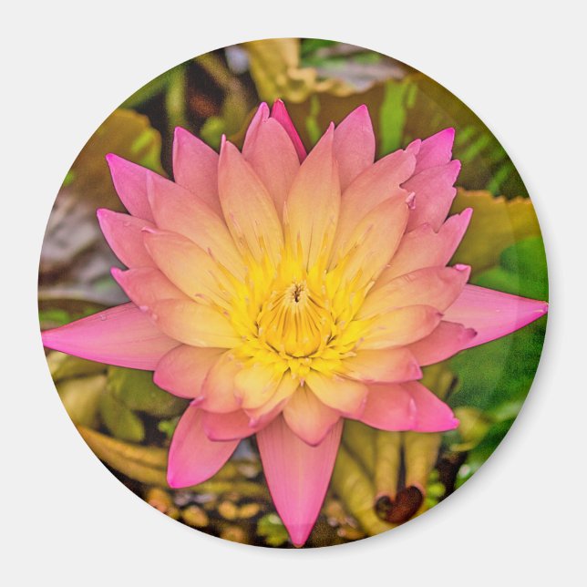 Lotus Flower of Life Magnet (Vorne)