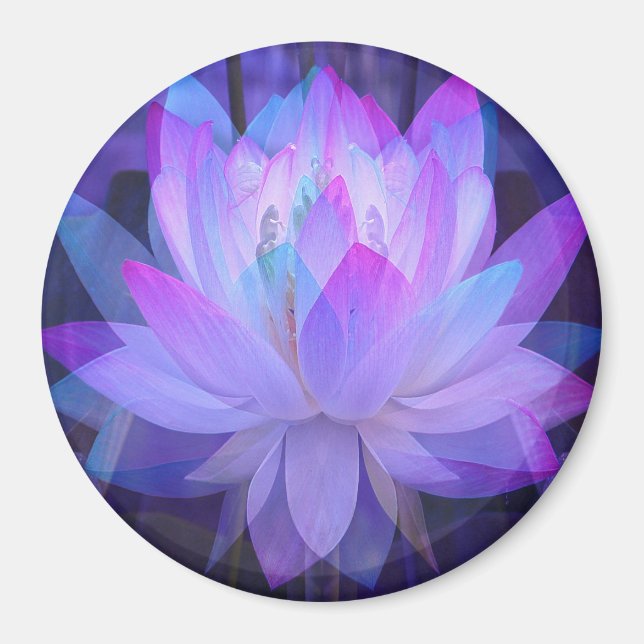 Lotus in Blau... Magnet (Vorne)