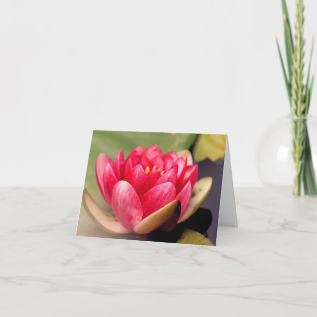 Lotus Jeden Anlaß Notecard Dankeskarte (Vorderseite)
