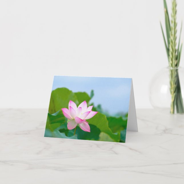 Lotus Jeden Anlaß Notecard Dankeskarte (Vorderseite)