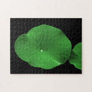 Lotus Leaves
