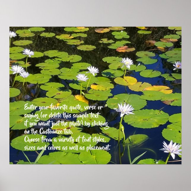 Lotus Lily Pad Nature Foto | Fakultatives Sprichwo Poster (Vorne)