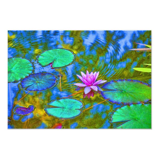 Lotus Lily Pad Water Livio Fotodruck (Vorne)