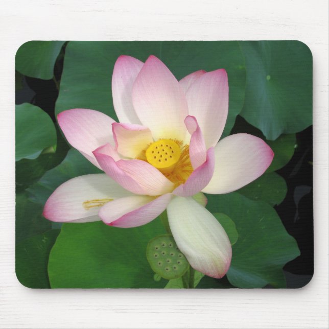 Lotus Mousepad (Vorne)