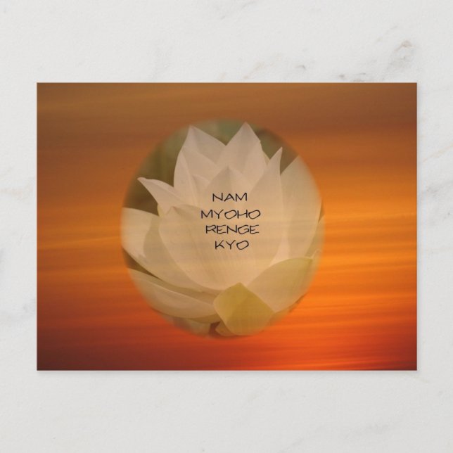 Lotus "Nam Myoho Renge Kyo" Carte postale bouddhis (Devant)