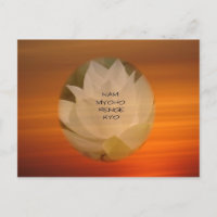 Lotus "Nam Myoho Renge Kyo" SGI Buddhistische Post