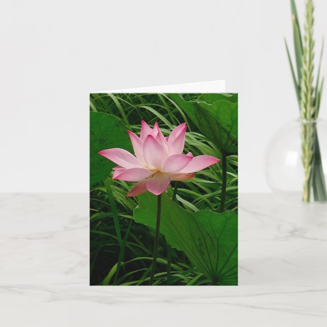 Lotus Notecard Dankeskarte (Vorderseite)