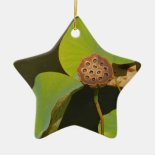 Lotus Pod and Lilly Pad Keramikornament