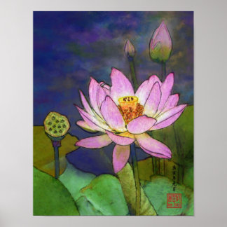 ‚lotus‘ poster