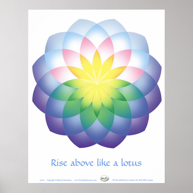 Lotus Poster (Vorne)