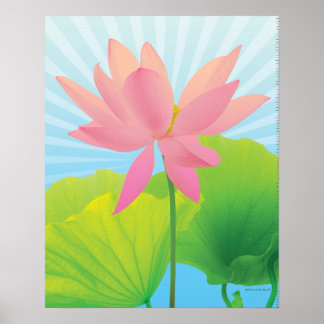 Lotus Poster