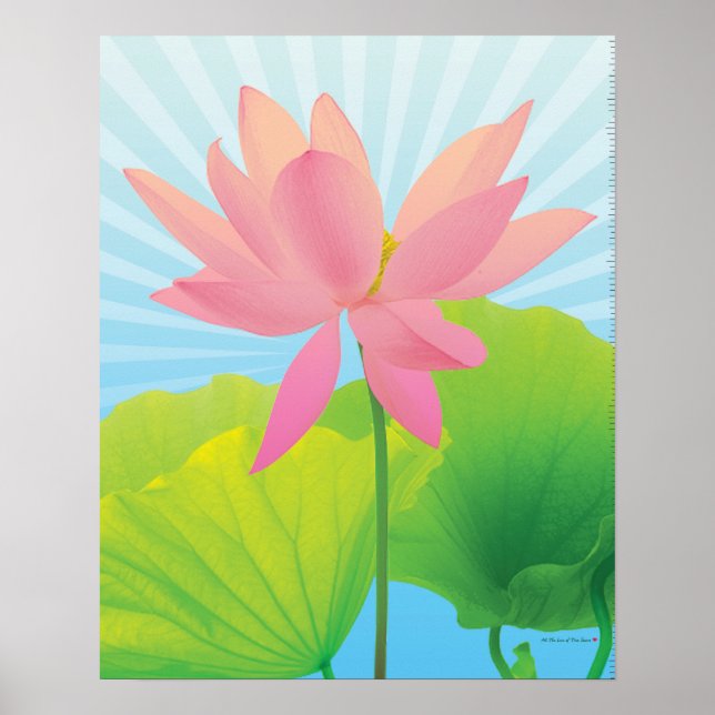Lotus Poster (Vorne)