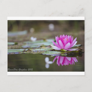 Lotus Postkarte