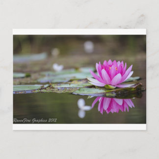 Lotus Postkarte