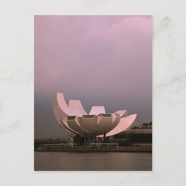 Lotus Postkarte (Vorderseite)