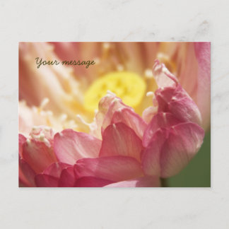 Lotus Postkarte
