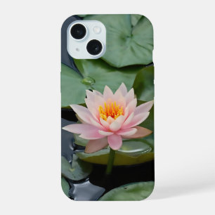 Lotus rose Fleur Zen Garden