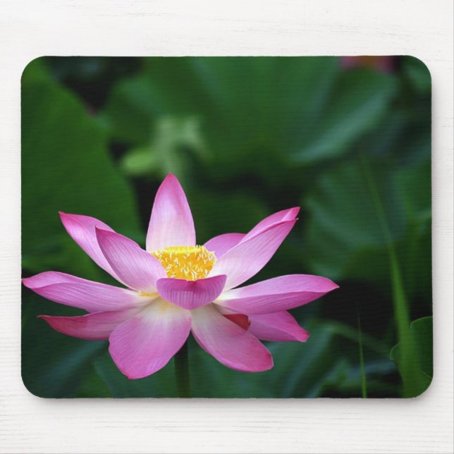 Lotus-Ruhe Mousepad (Vorne)