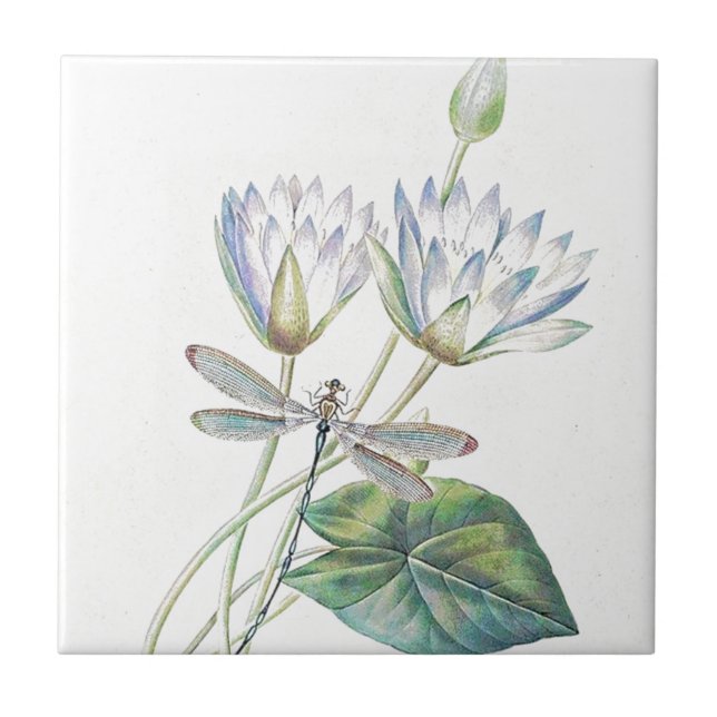 Lotus und Libelle Fliese (Vorderseite)