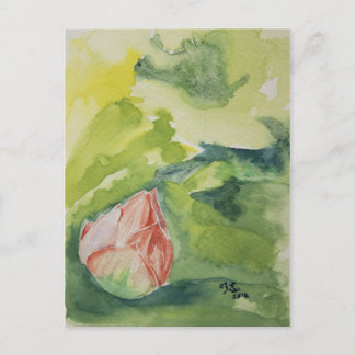 Lotus vival postkarte