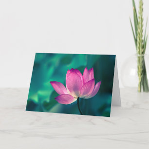 Lotus Water Lily Blume Karte