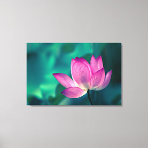 Lotus Water Lily Blume Leinwanddruck