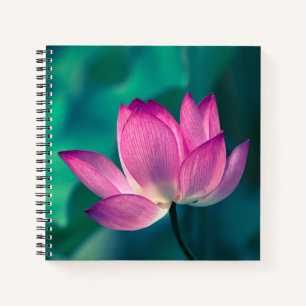 Lotus Water Lily Blume Notizbuch