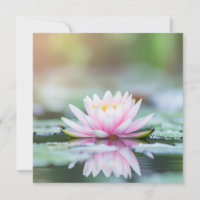 LOTUS - ZEN BOUDDHISME - Cartes de vœux